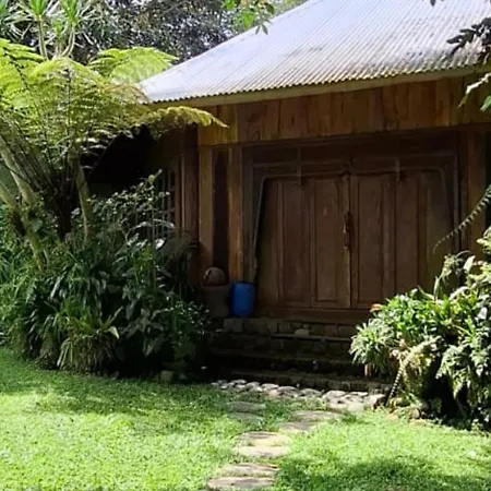 Warung Rekreasi Bedugul